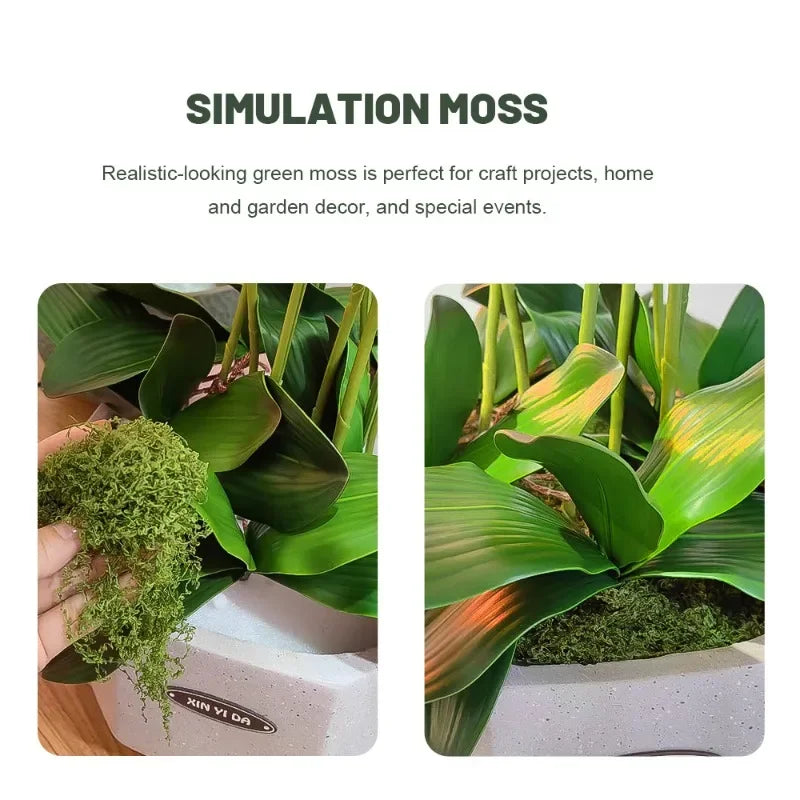 30/100g Artificial Green Plants Eternal Life Moss Lawn Mini Landscaping Home Garden Room Decoration Fake Grass DIY Crafts Gifts