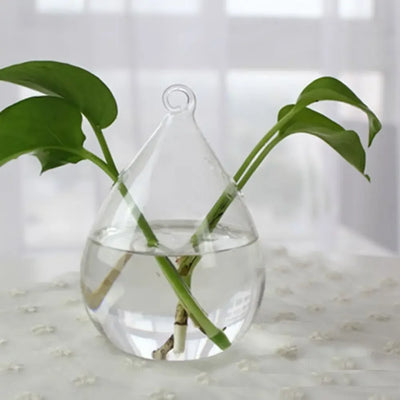 Glass Vase Terrarium Creative Hydroponic Plant Glass Bottle Transparent Flower Vase Fish Tank Aquarium Container Home Decoration