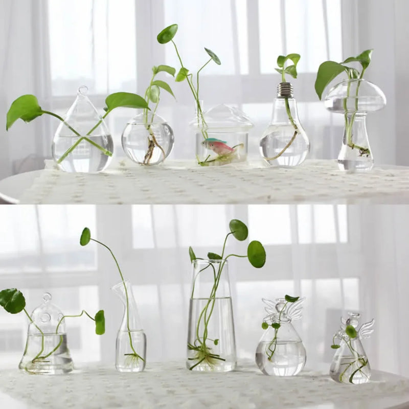 Glass Vase Terrarium Creative Hydroponic Plant Glass Bottle Transparent Flower Vase Fish Tank Aquarium Container Home Decoration