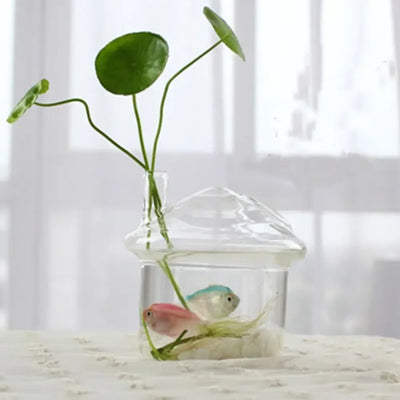 Glass Vase Terrarium Creative Hydroponic Plant Glass Bottle Transparent Flower Vase Fish Tank Aquarium Container Home Decoration