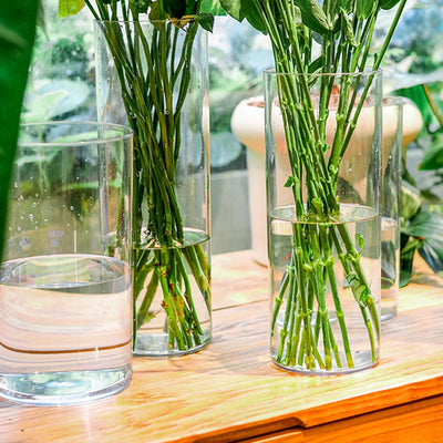 Acrylic Clear Cylinder Flower Vase Unbreakable Hurricane Tall Large Plastic Vases for Wedding Centerpieces Hydroponic Decor