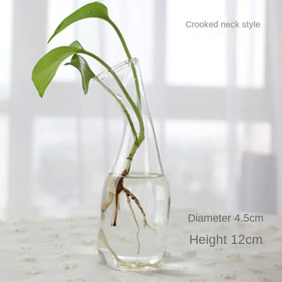 Glass Vase Terrarium Creative Hydroponic Plant Glass Bottle Transparent Flower Vase Fish Tank Aquarium Container Home Decoration