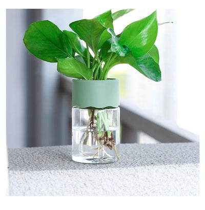 Mini Hydroponic Flower Pot Transparent Terrarium Glass Soilless Green Plant Vase Garden Living Room Home Tabletop Decorations