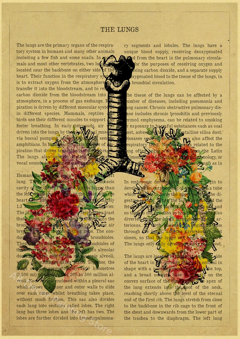 Human Heart/Lungs/Thorax/Cerebrum Anatomy with Flower and Description Posters Prints Retro Home Medical Decor Art Wall Painting