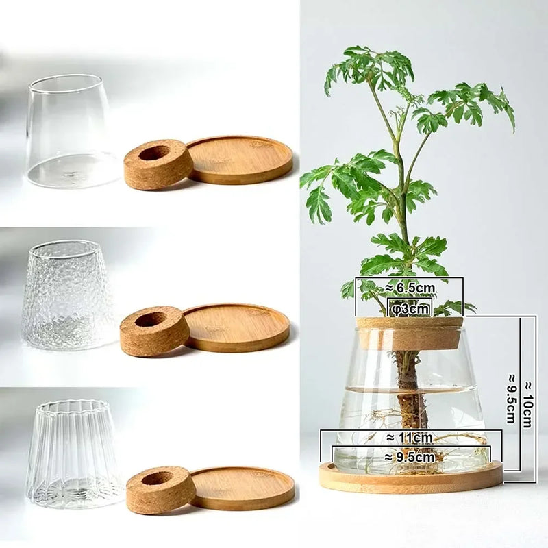 2/1 Pcs Hydroponic Plants Glass Flower Pots Home Decoration Transparent Small Vase Plant Pots With Base Tray Garden Accessories