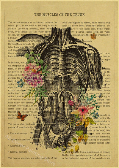 Human Heart/Lungs/Thorax/Cerebrum Anatomy with Flower and Description Posters Prints Retro Home Medical Decor Art Wall Painting