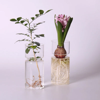 DIY Micro Landscape Clear Hyacinth Glass Vase Flower Planter Pot Bottle Terrarium Container Flower Vase for Home Office Decor