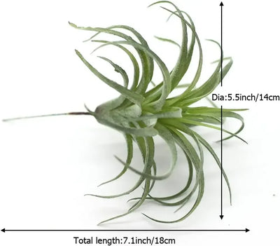 2PCS Artificial Flocking Tillandsia Air Plants Faux Succulents Bromeliads(Small)