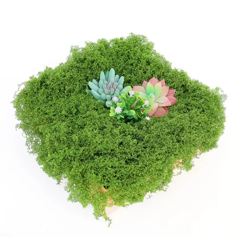 30/100g Artificial Green Plants Eternal Life Moss Lawn Mini Landscaping Home Garden Room Decoration Fake Grass DIY Crafts Gifts