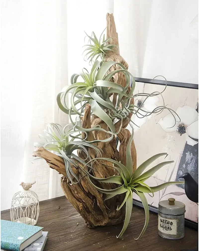 2PCS Artificial Flocking Tillandsia Air Plants Faux Succulents Bromeliads(Small)