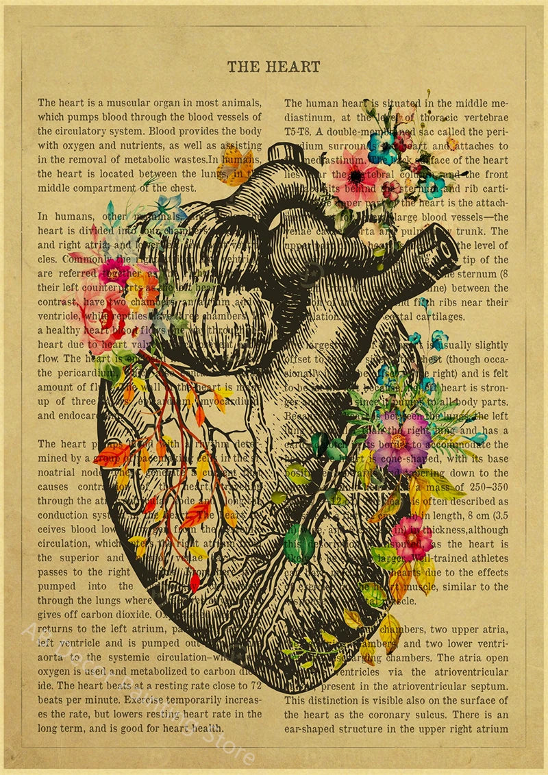 Human Heart/Lungs/Thorax/Cerebrum Anatomy with Flower and Description Posters Prints Retro Home Medical Decor Art Wall Painting