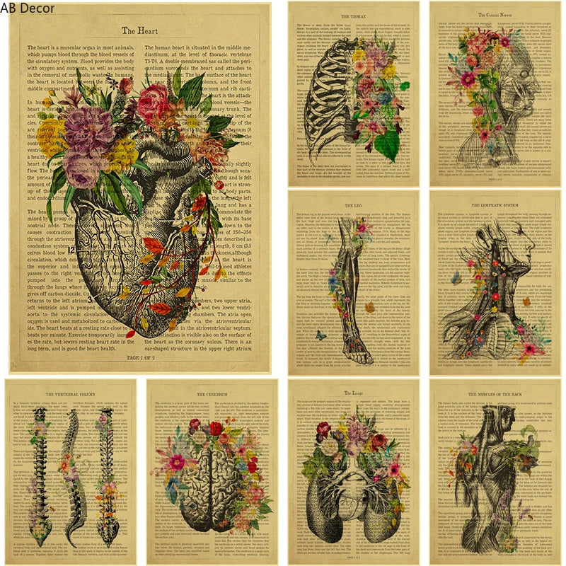 Human Heart/Lungs/Thorax/Cerebrum Anatomy with Flower and Description Posters Prints Retro Home Medical Decor Art Wall Painting