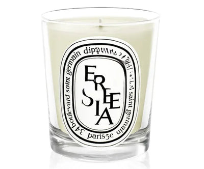 Romantic Scented Candles, France Fragrance, Mood Diffuser, Fresh Light, Home Fragrance, Lasting Air Companion, Aroma Gift