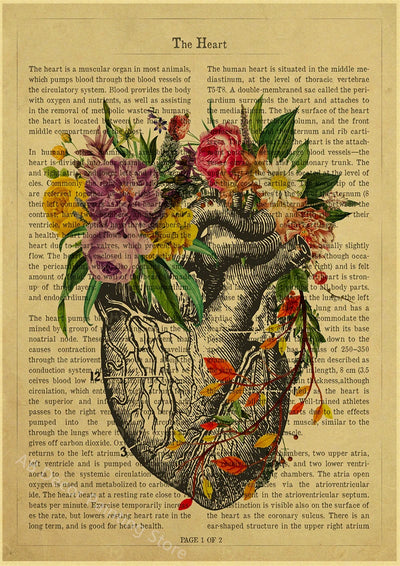 Human Heart/Lungs/Thorax/Cerebrum Anatomy with Flower and Description Posters Prints Retro Home Medical Decor Art Wall Painting