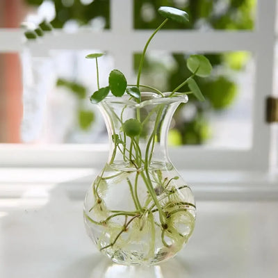 Glass Vase Terrarium Creative Hydroponic Plant Glass Bottle Transparent Flower Vase Fish Tank Aquarium Container Home Decoration