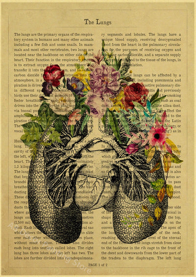 Human Heart/Lungs/Thorax/Cerebrum Anatomy with Flower and Description Posters Prints Retro Home Medical Decor Art Wall Painting