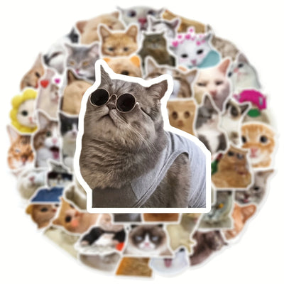 50pcs Cheap Cartoon Cute Funny Cat Series Graffiti Stickers Suitable for Desktop Wall Room Decoration DIY Sticker Pack Wholesale