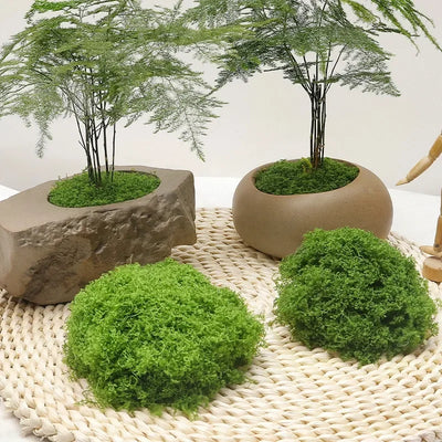 30/100g Artificial Green Plants Eternal Life Moss Lawn Mini Landscaping Home Garden Room Decoration Fake Grass DIY Crafts Gifts