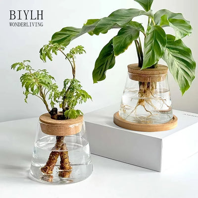 2/1 Pcs Hydroponic Plants Glass Flower Pots Home Decoration Transparent Small Vase Plant Pots With Base Tray Garden Accessories