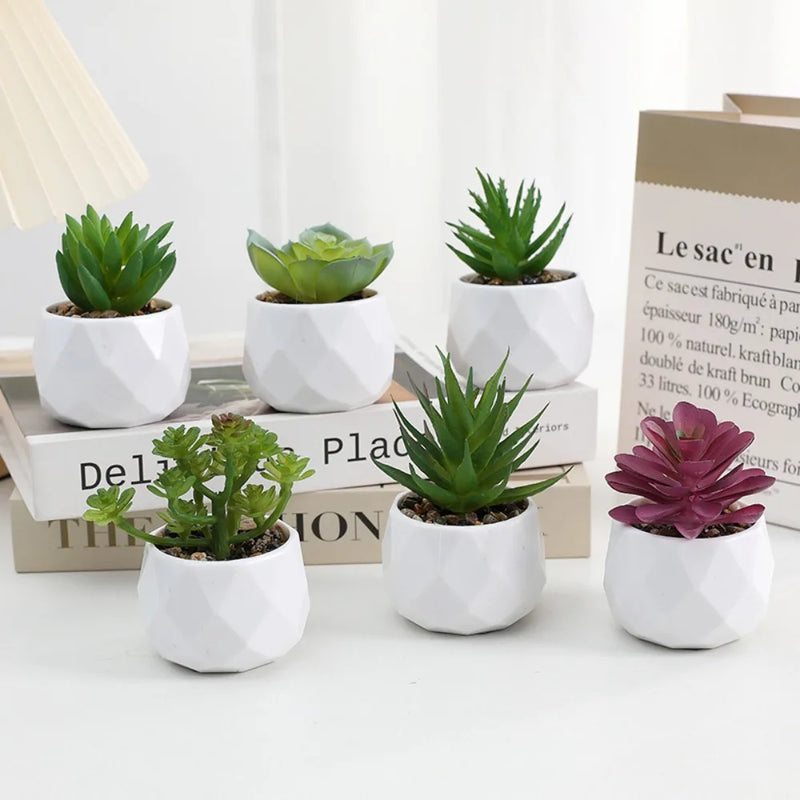 Artificial Succulent Bonsai Plants Simulation Succulents Mini Evergreen Bonsai Cactus Succulent Plastic Fake Plants Decor