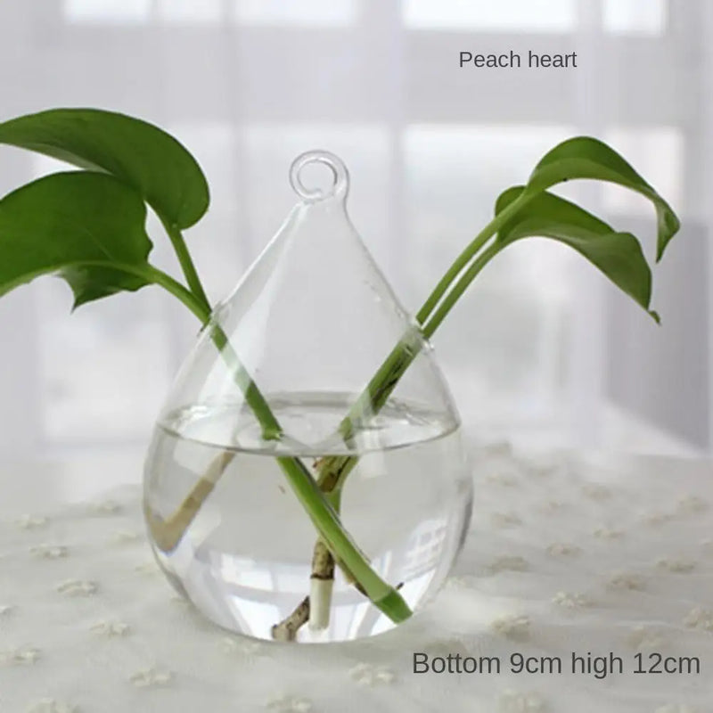 Glass Vase Terrarium Creative Hydroponic Plant Glass Bottle Transparent Flower Vase Fish Tank Aquarium Container Home Decoration