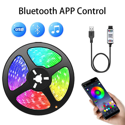 RGB 5050 Led Strip Light Bluetooth App 5V USB Led Tape Flexible Ribbon Diode Tape for TV Backlight Gaming Room Decoration